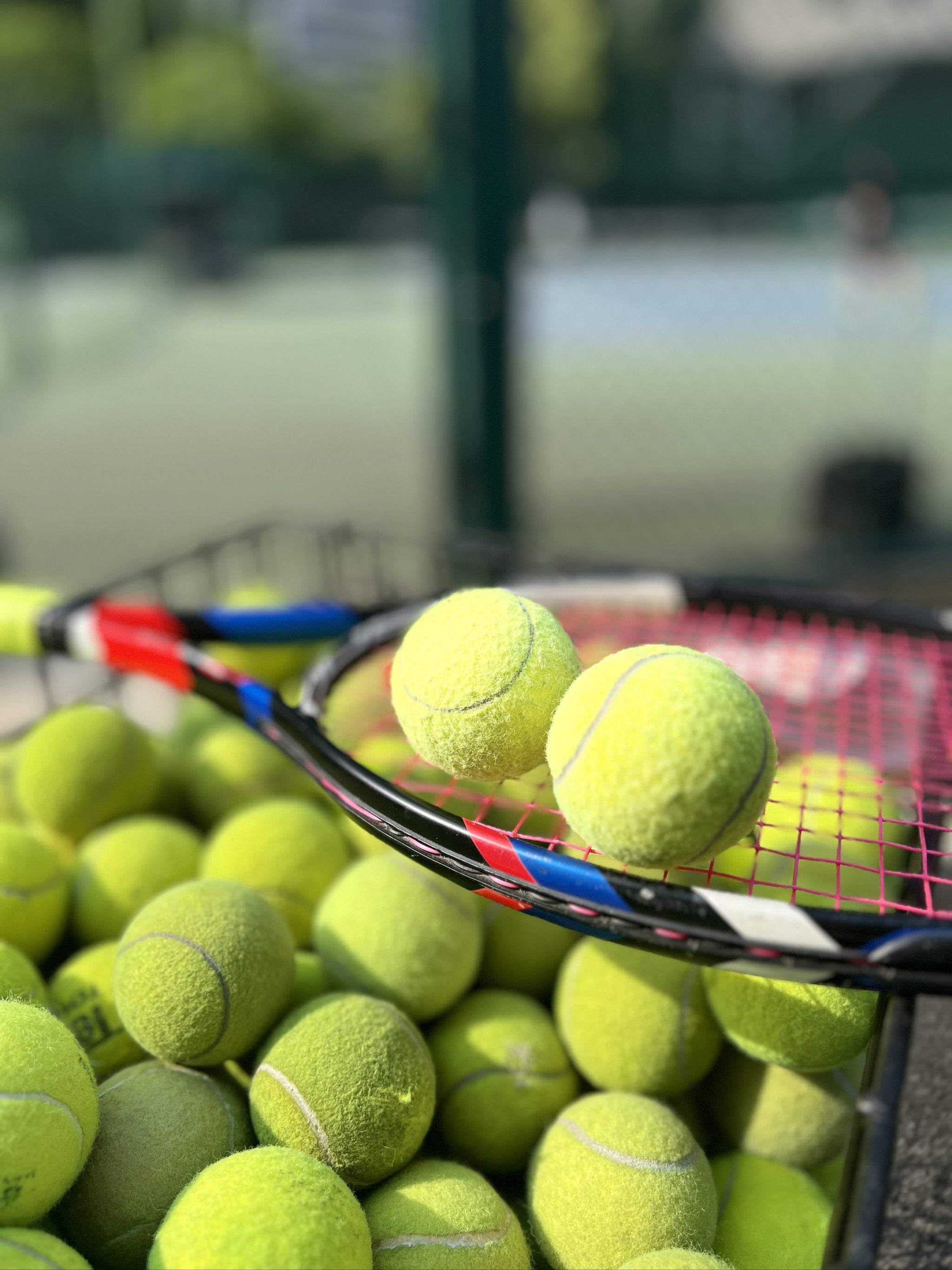 险交易补齐 险交易补齐