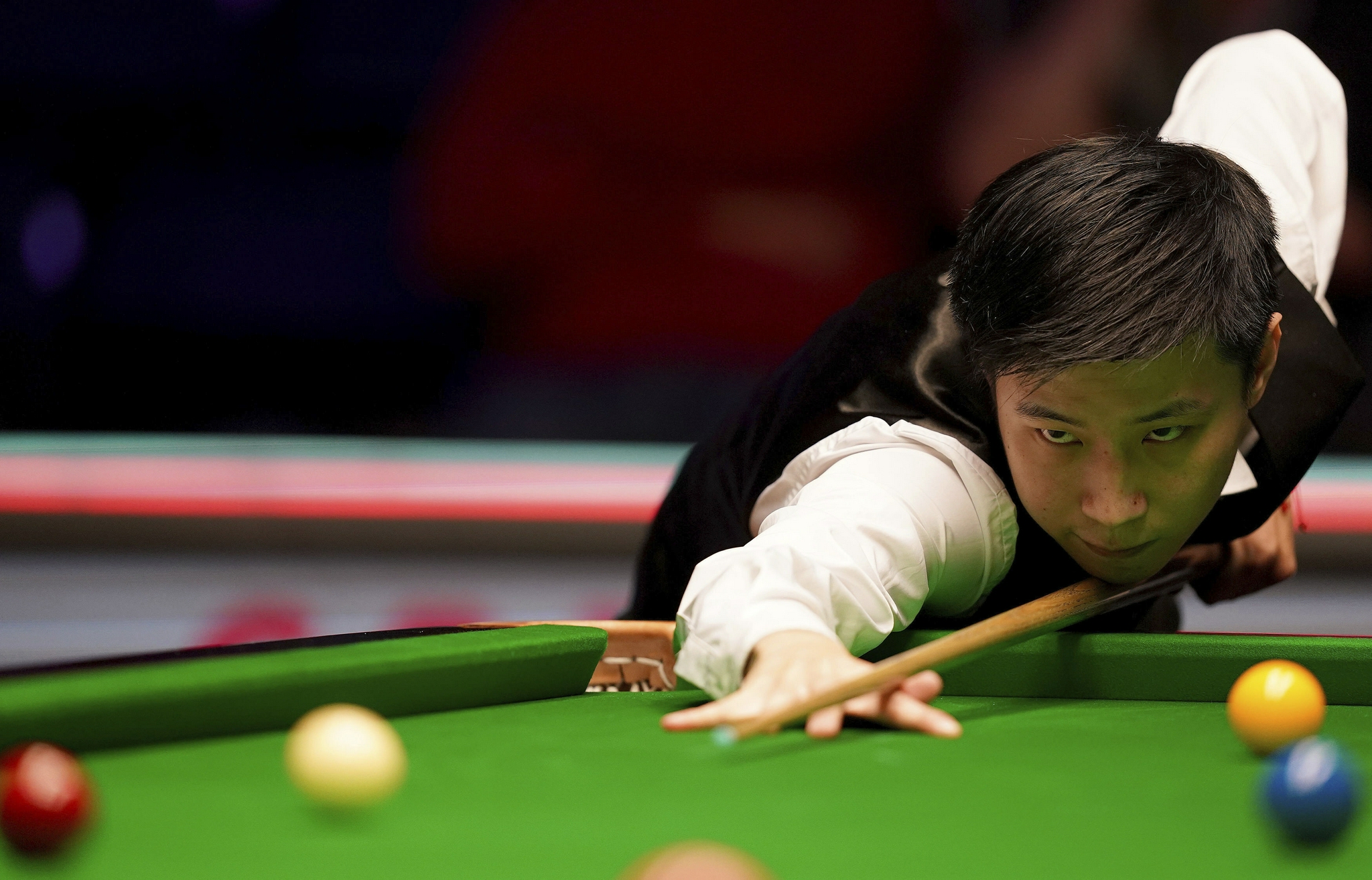 大的收视高 大的收视高